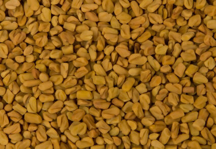 Fenugreek (1kg)