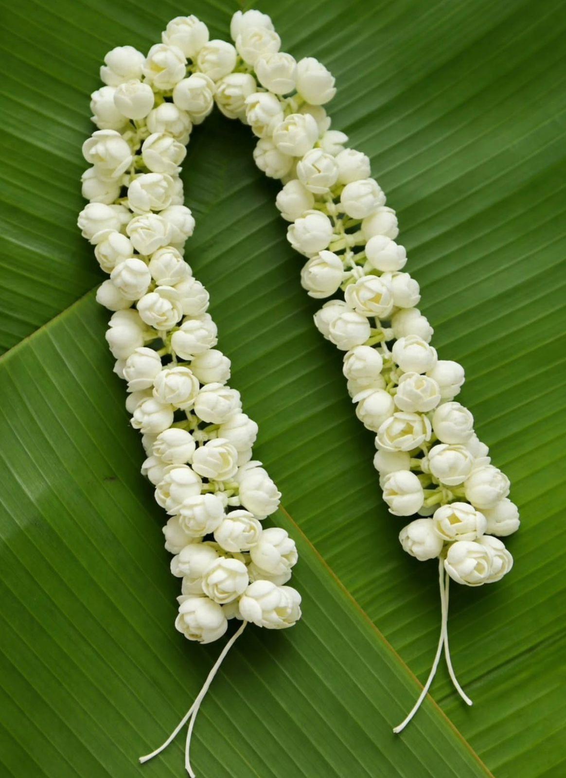 Artificial reusable jasmine strings