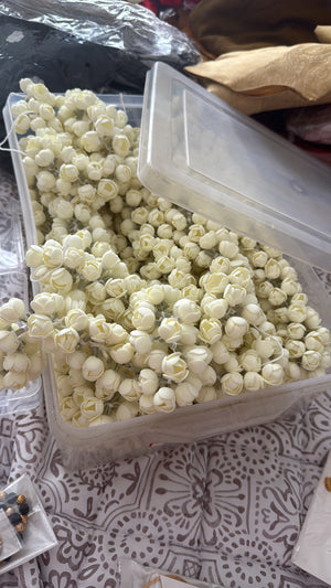 Jasmine flower