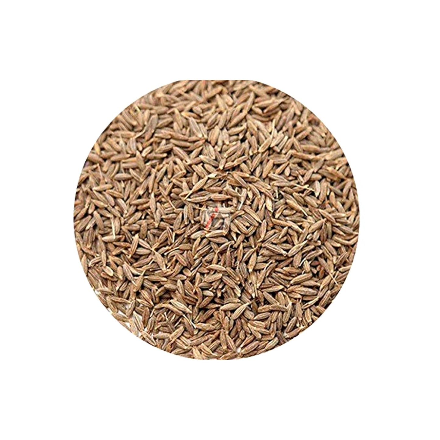 Cumin Seed (200g)