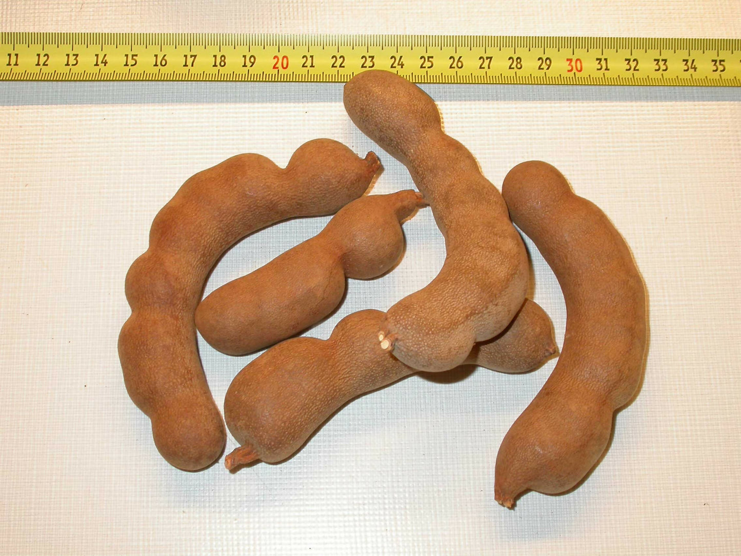 Mayil Tamarind (500g)