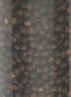 Black Pepper Powder Bott (170g)