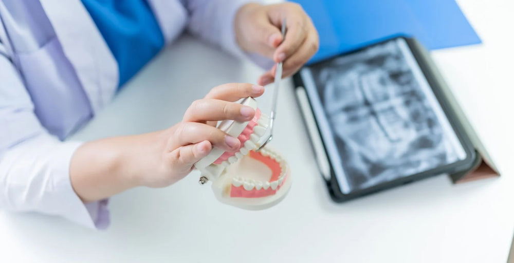 Woodleigh Waters Dental