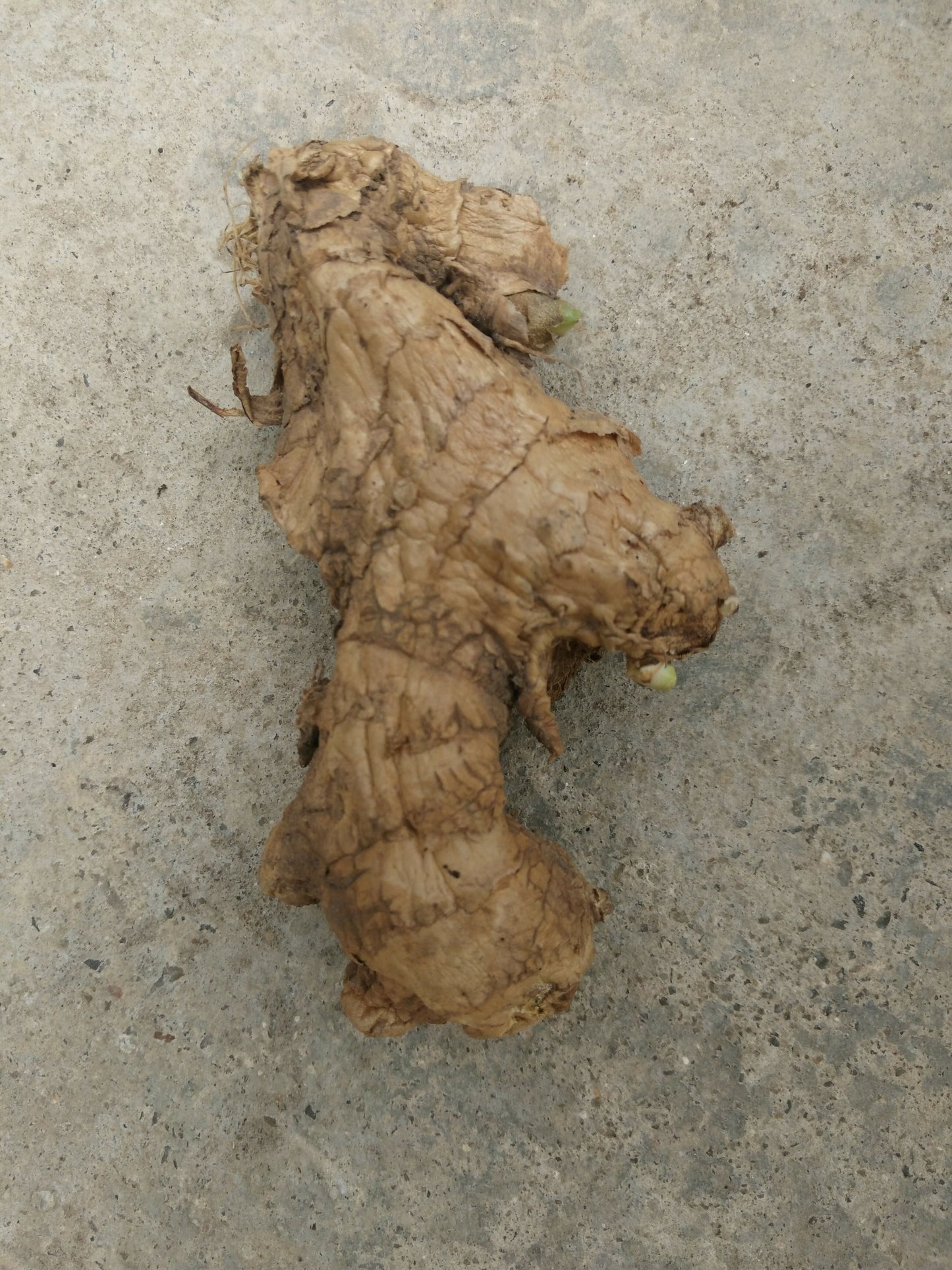 Mayil Dry Ginger (200g)