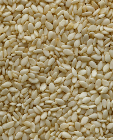 Sesame Seed (Ella) White