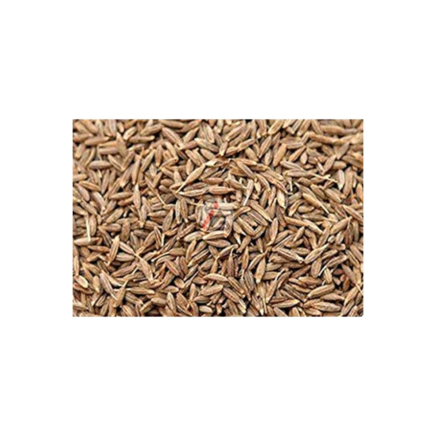 Cumin Seed (250g)